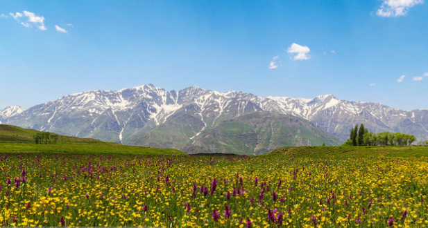 پیچ بن